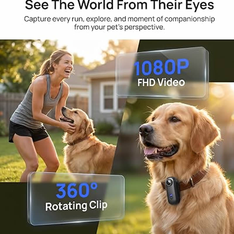 Kamery dla zwierząt 1080P HD,  – Home Cinema Hd recenzja i cena