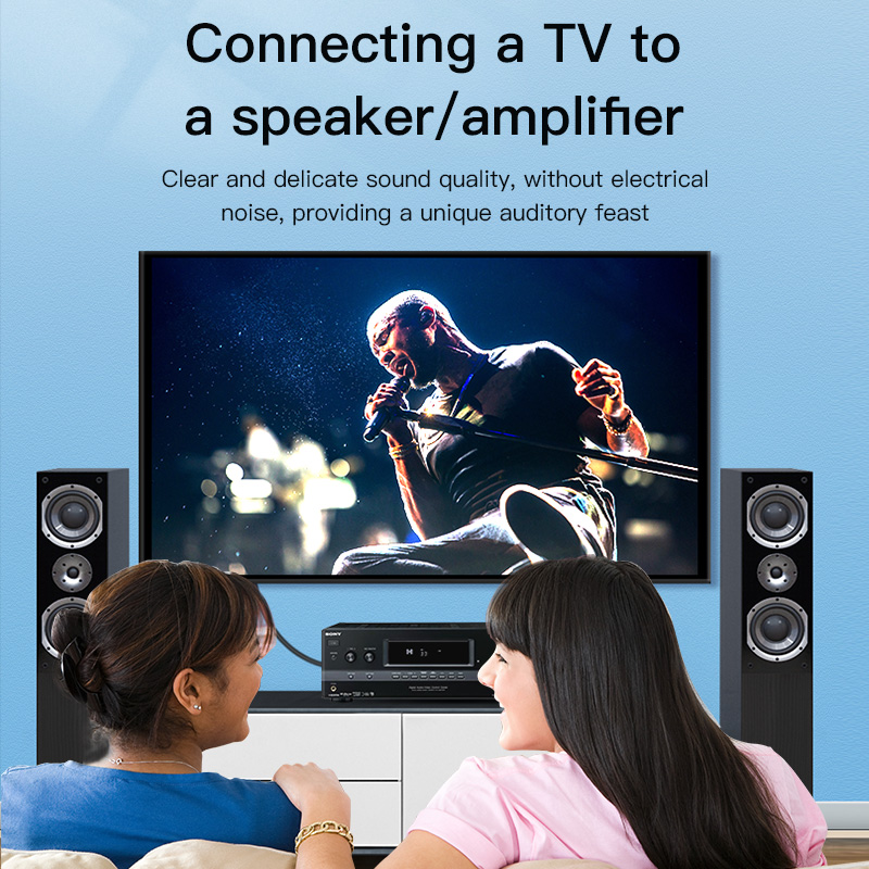 Kabel RCA Digital Coaxial Audi – Home Cinema Player recenzja i cena
